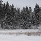    <br>Winter Holidays in Kootenay
